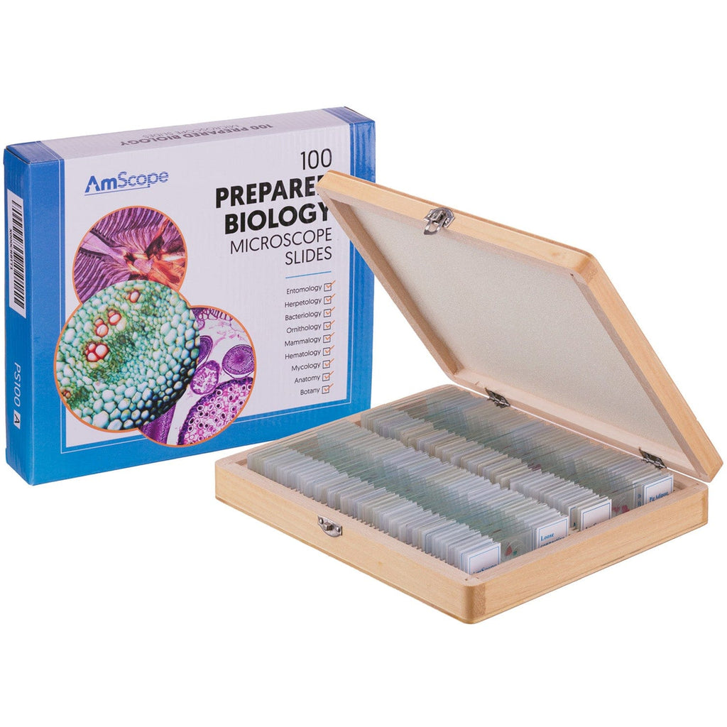 Magniscope Slides AmScope 100pc Prepared Glass Microscope Slides in Wood Case with Mamma