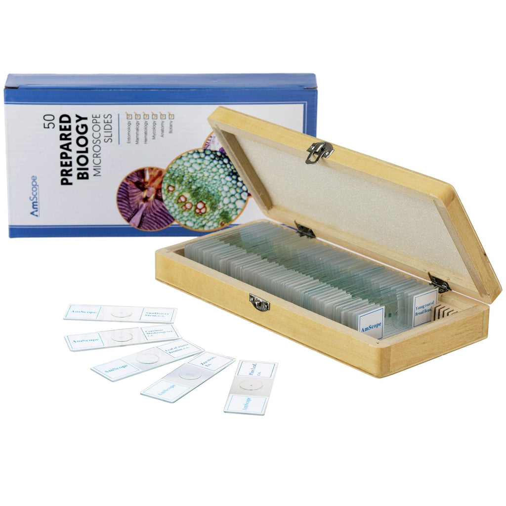 AmScope 50pc Prepared Glass Microscope Slides in Wood Case with Plant,