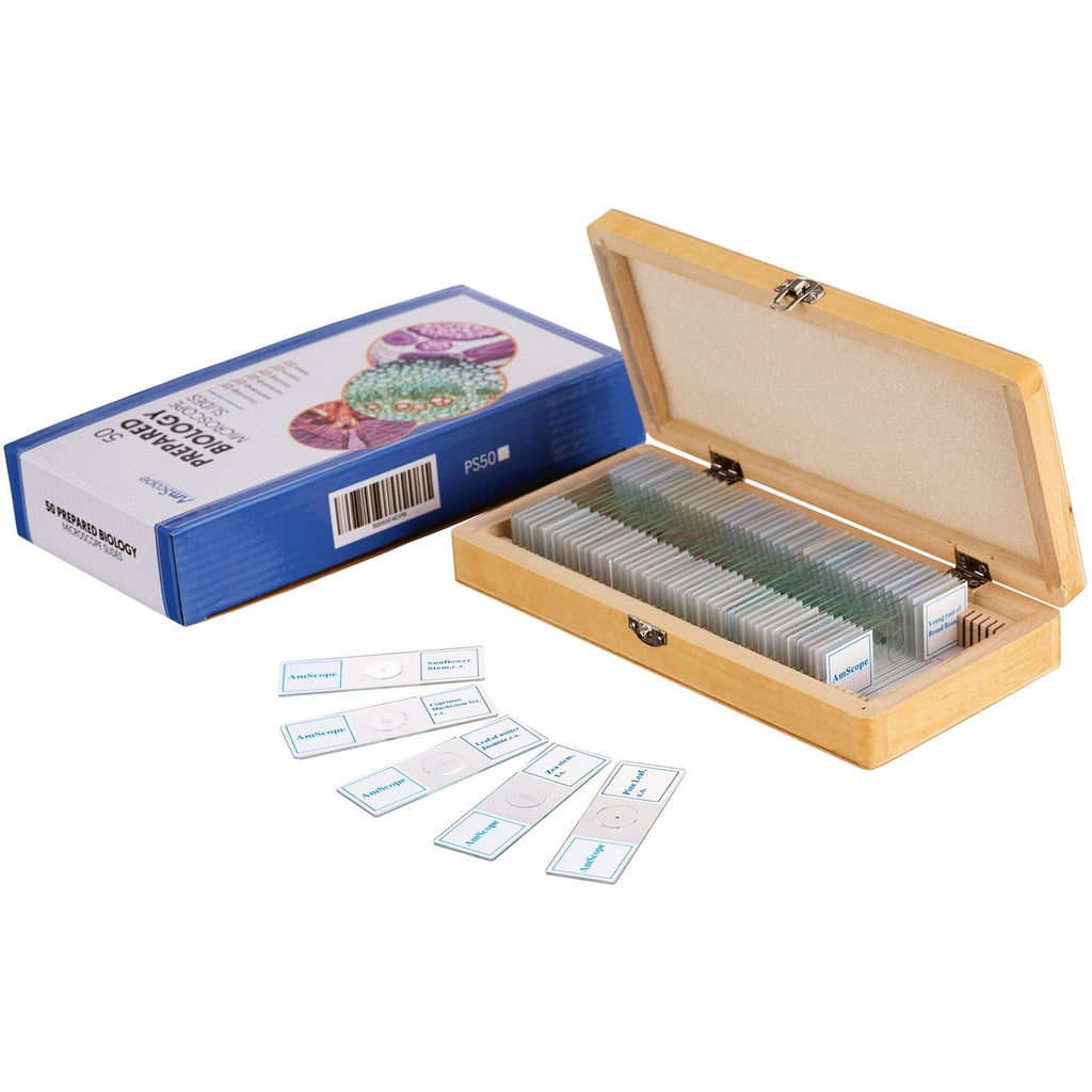 AmScope 50pc Prepared Glass Microscope Slides in Wood Case with Plant,