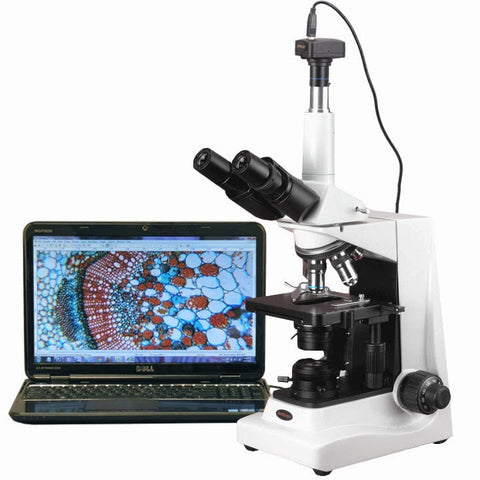 compound-microscope-T680-M
