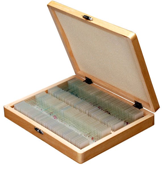 AmScope 100pc Prepared Glass Microscope Slides in Wood Case with Mammal, Bird, Insect, Amphibian & Plant Specimens - SET A