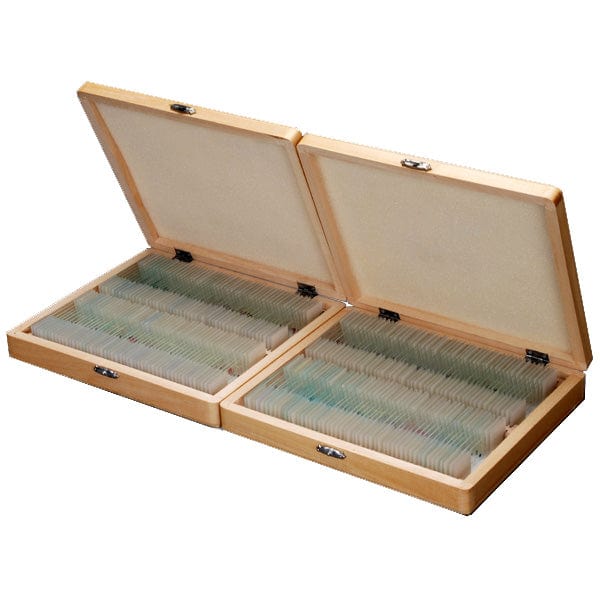 Lot De 25 Lames Préparées Pour Microscope - Coffret Bois Avec Spécimens Plantes, Insectes & Animaux - Idéal Étudiants & Homeschooling