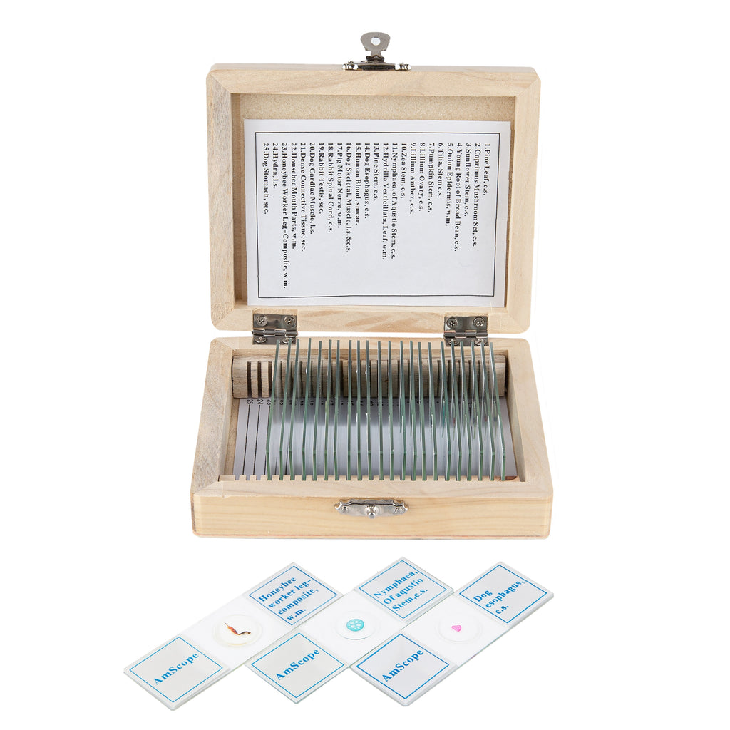 AmScope PS25W 25 Glass Prepared Microscope Slides with Wooden Box