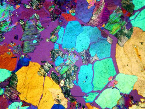 AmScope ME580 Series Compact Trinocular Metallurgical Compound Microscope Dual Illumination Polarized Light w/Optional Digital Camera