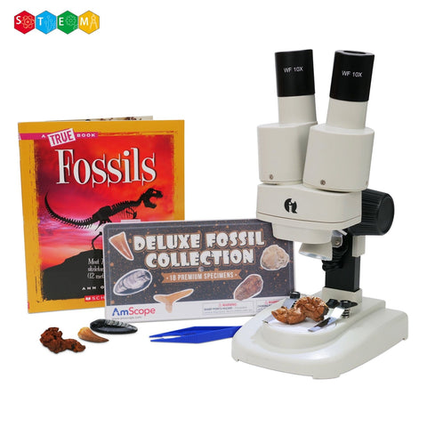 Kid's Deluxe Stereo Microscope with Fossil Collecting Activity Kit - 20X and 50X Magnification + Dual-Illumination