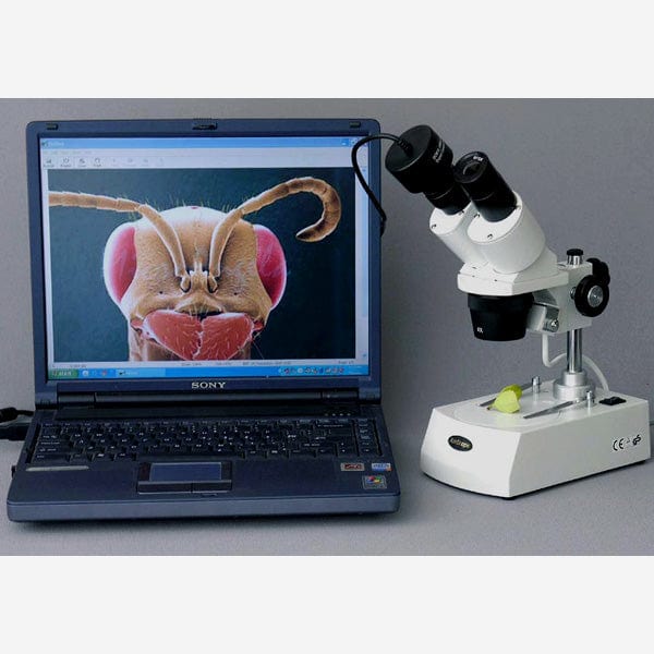 AmScope SE306R-PZ-M Digital Enabled Binocular Stereo Microscope 1.3MP Camera on a Pillar Stand