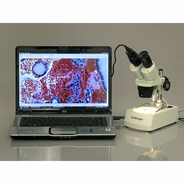 AmScope SE306 Series Compact Multi-Lens Binocular Stereo Microscope 20