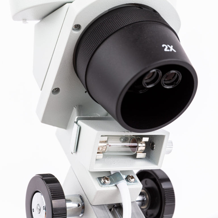 Amscope SE306R-PZ Stereo Microscope for Kids Industrial Inspection, PCB & Soldering, Gem & Jewelry