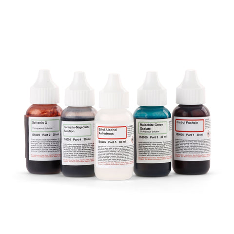 Spore Stain Kit of Five Chemicals for Preparing Microscope Slides