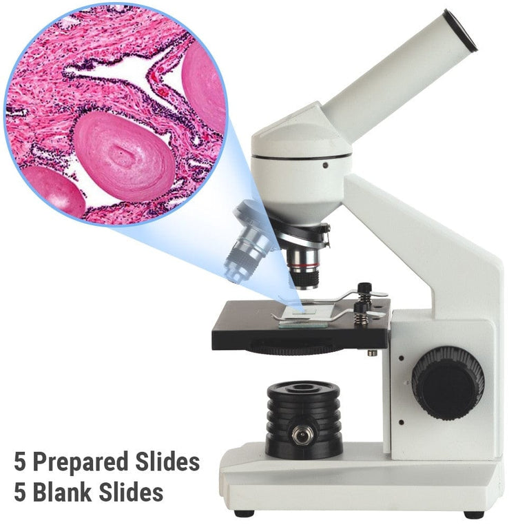 Amscope M102C-PB10 Monocular Compound Microscope for Kids – 40X–1000X LED Illumination STEM Education Microscopes, Student Lab Microscopes, Biological Science Microscopes