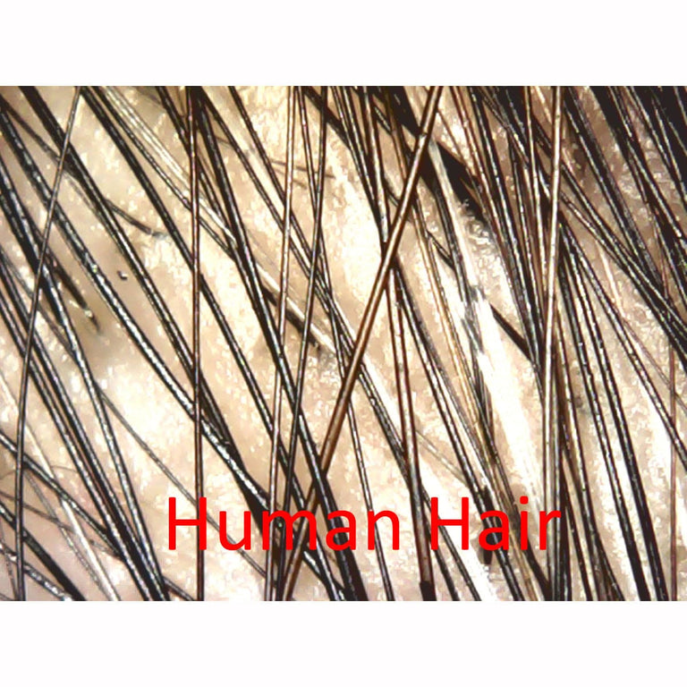 Amscope UTP200X020MP Digital Compound Microscope for Kids – Up to 200X LED Illumination LCD Screen, Photo & Video Capture, STEM Learning