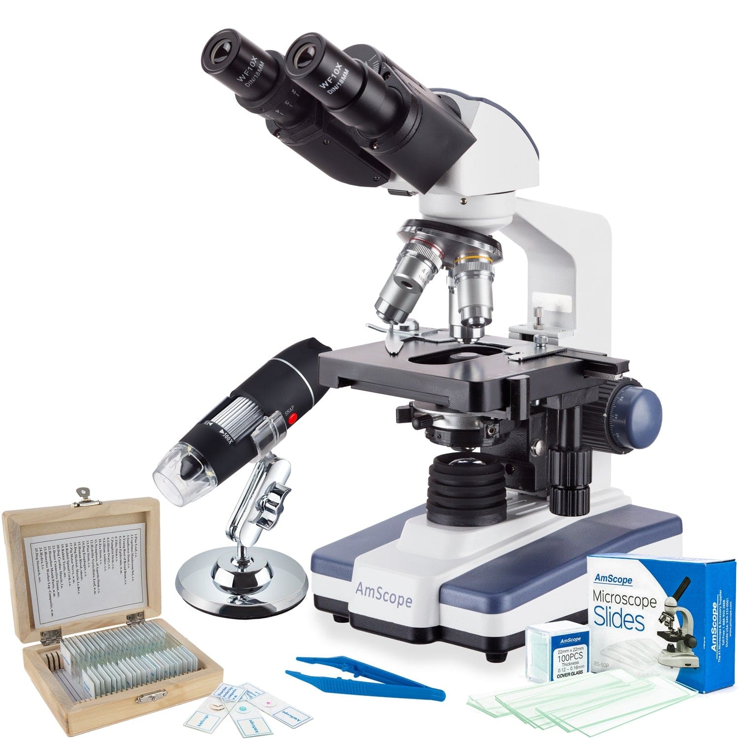 compound light microscope images